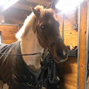 Meet your Posher, Rylee